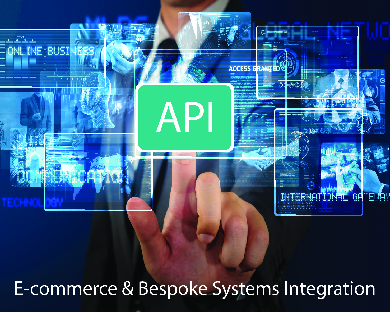 API / Systems Integration & Support