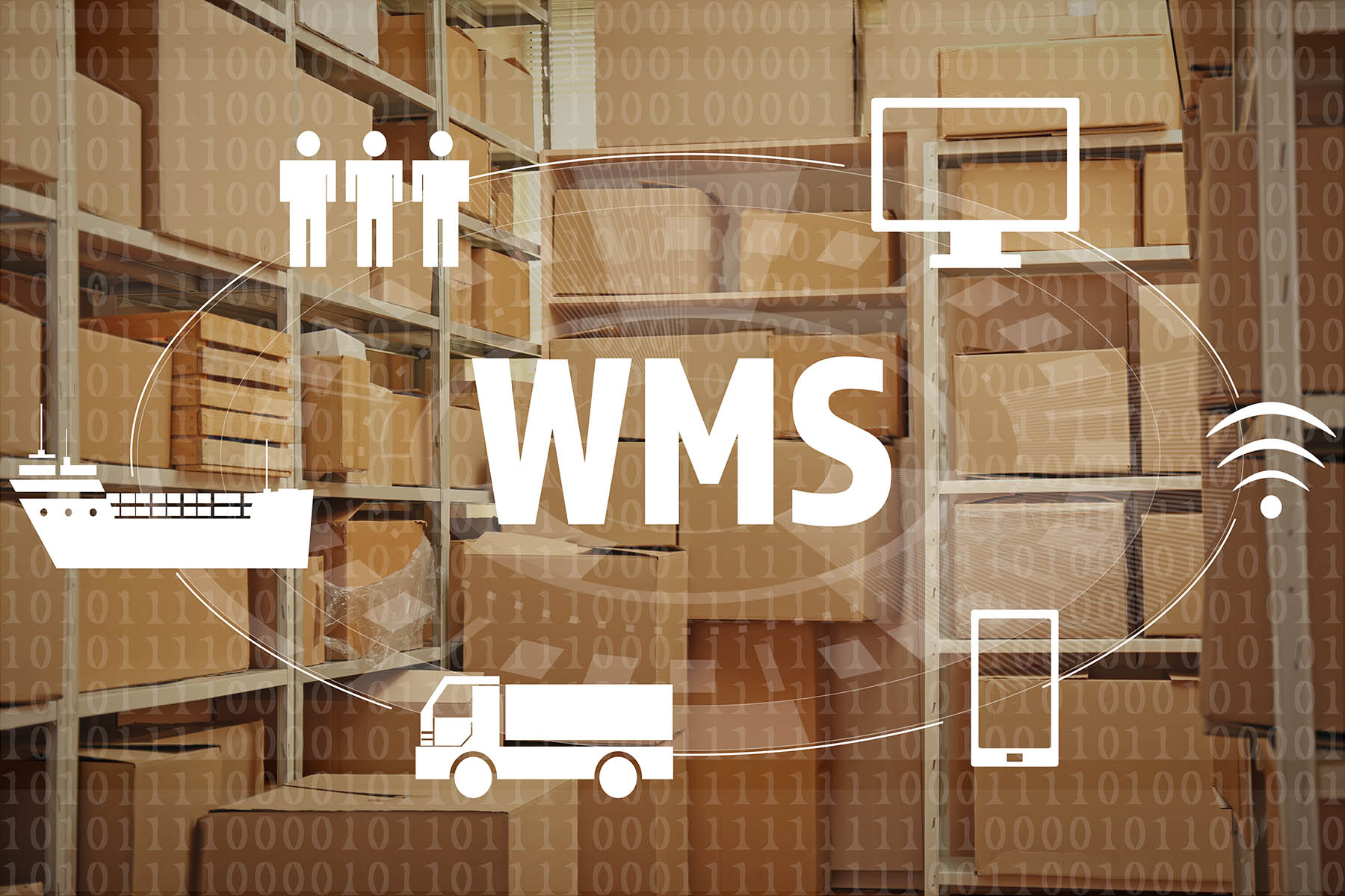 Warehouse WMS & Client Web portal access